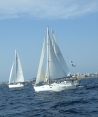 Foto_3